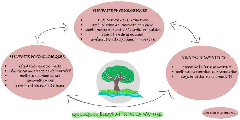 BÉNÉFICES DE LA NATURE